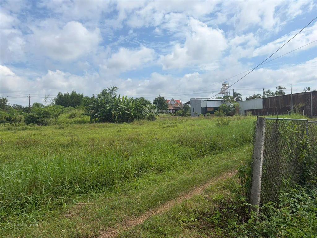 Đất lúa xuân đông, cẩm mỹ, 4.742m2, giá 2,3 tỷ