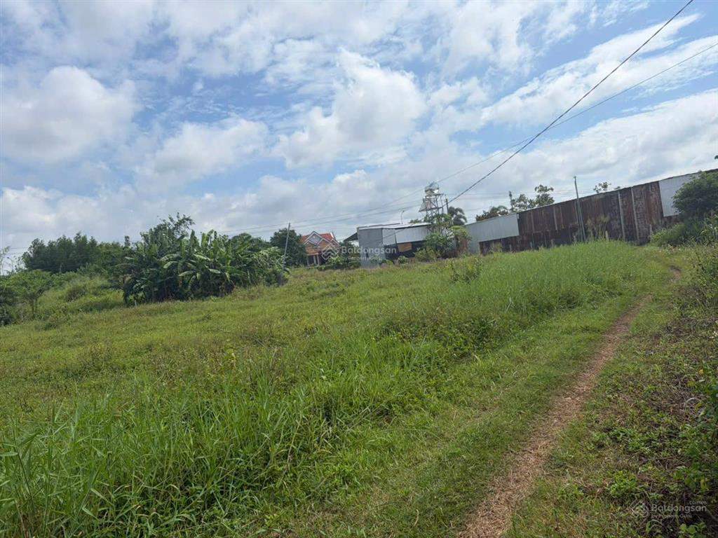 Đất lúa xuân đông, cẩm mỹ, 4.742m2, giá 2,3 tỷ