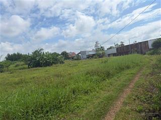 Đất lúa xuân đông, cẩm mỹ, 4.742m2, giá 2,3 tỷ
