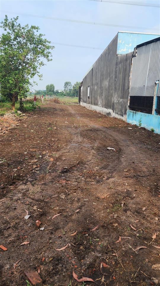 Sổ cấp mới. 1450m2 có 301m2 thổ cư, cách 823d 200m, đường xe tải