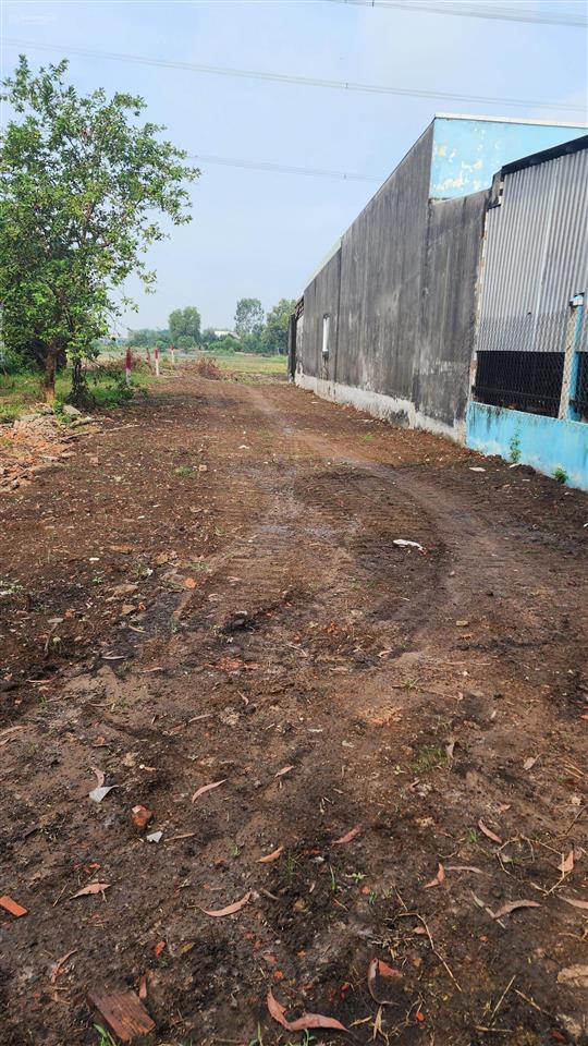 1450m2 có 301m2 thổ cư cách 823d 200m. đất sạch đẹp
