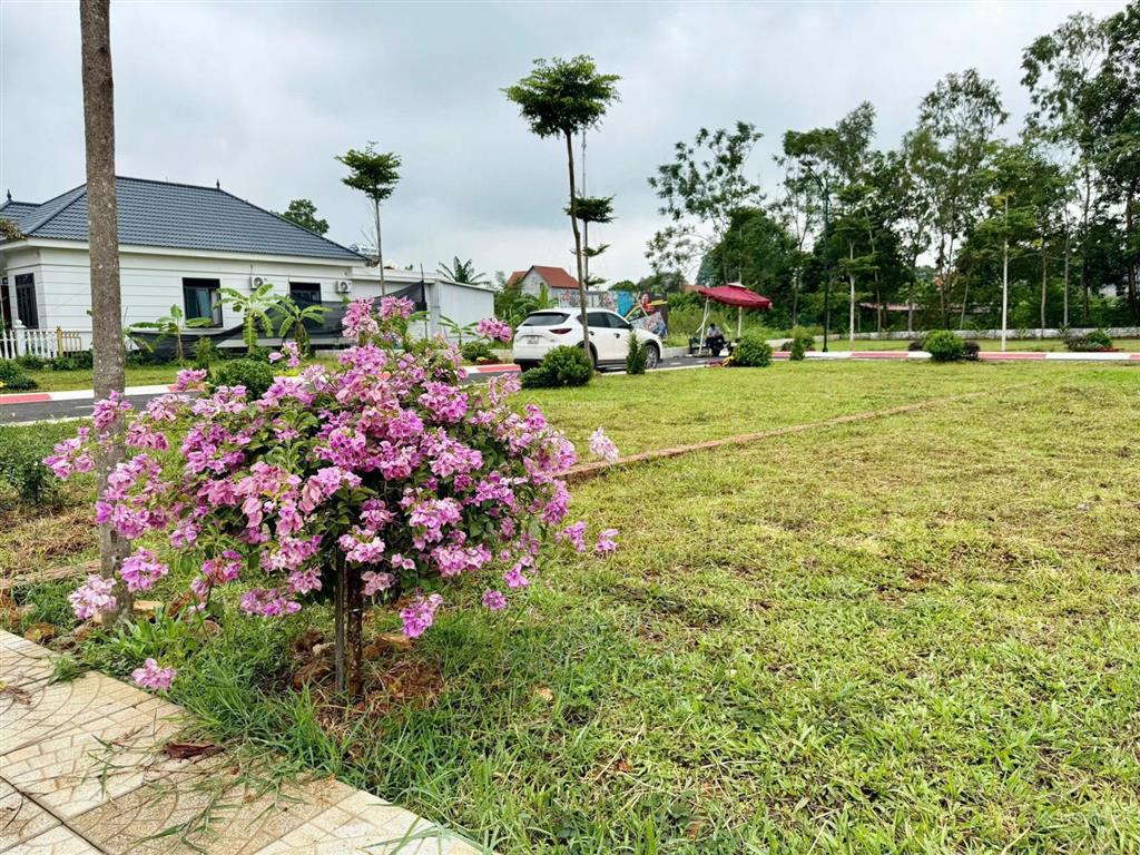 Lô góc đồng trạng  chính chủ tôi cần thanh khoản giá tốt