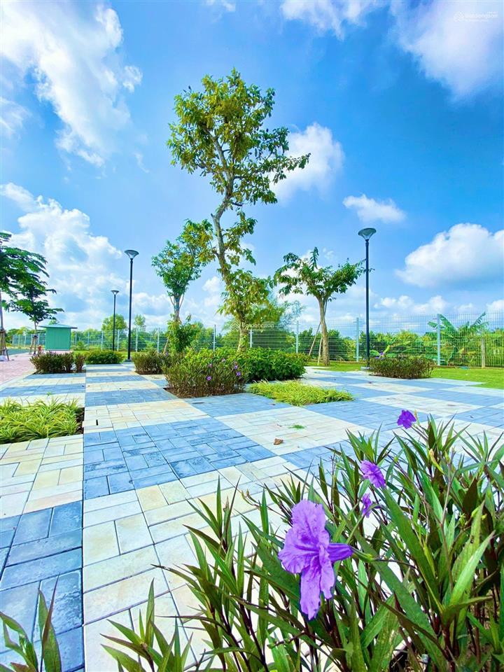 Có vài lô đất trong kdc quốc linh 90m2 cần bán nhanh 1ty2 để trả nợ ngân hàng sổ sẵn chính chủ