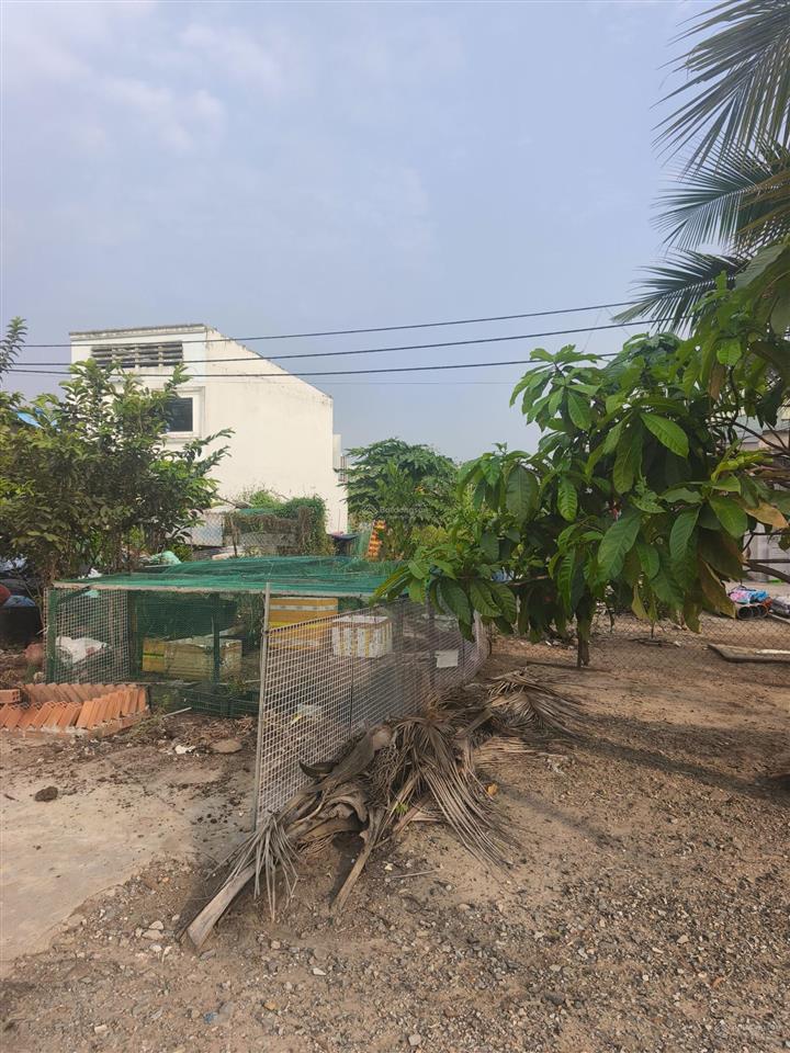 Bán gấp đất mặt tiền đường mai bá hương 1000m2 có 800m2 thổ cư