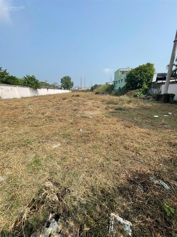 Bán đất mặt tiền quốc lộ 1a, 2817m2 kdc hiện hữu, được chuyển thổ cư.