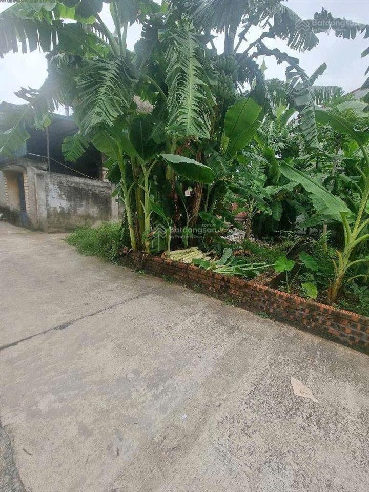 Chính chủ bán 4.2 tỷ lô đất 42m, mt 4.15, đông dư, bát tràng, ô tô đỗ cửa, đường 5m,  0986 525 ***