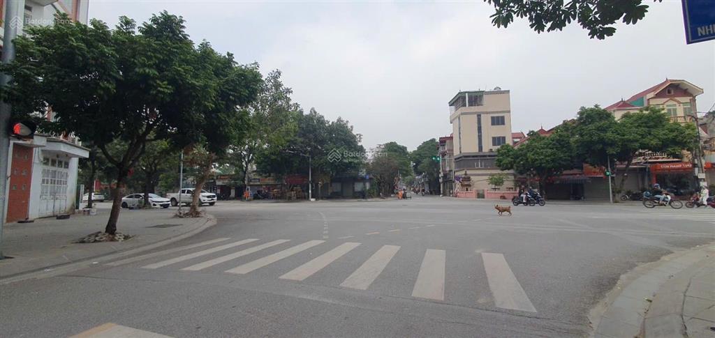 Cực hiếm chính chủ bán nhà mặt phố đặng vũ hỷ long biên, 40m vỉa hè phân lô kinh doanh nhỉnh 10 tỷ