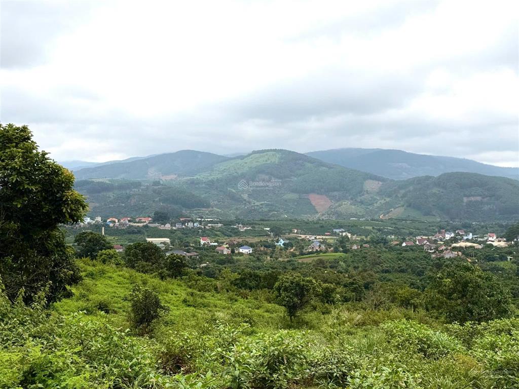 Bán nhanh 7,3 sào giáp rừng thông, view siêu đẹp ven đà lạt