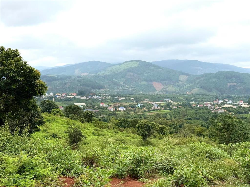 Bán nhanh 7,3 sào giáp rừng thông, view siêu đẹp ven đà lạt