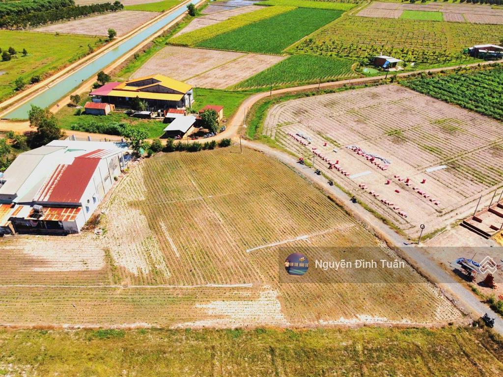 Tầm 290 triệu, lô giá mềm nhưng diện tích nhỏ hoặc chưa full thổ lô này khác ở chỗ đó