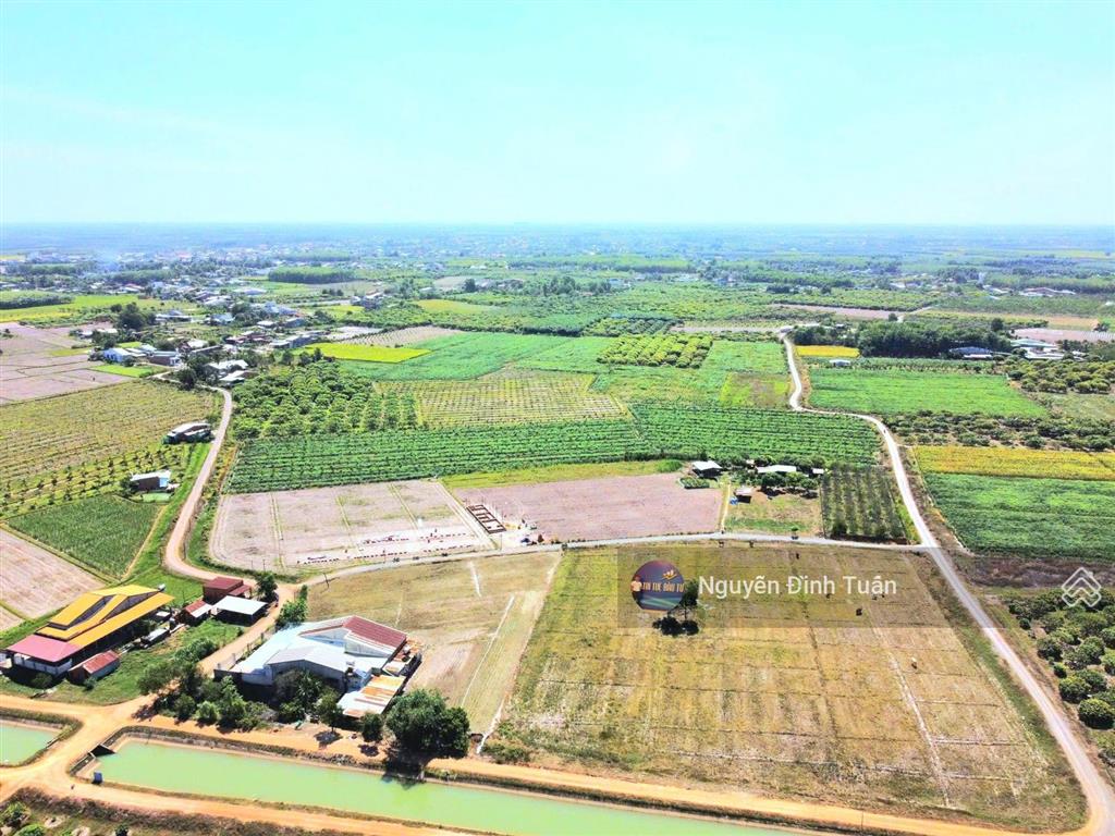 Tầm 290 triệu, lô giá mềm nhưng diện tích nhỏ hoặc chưa full thổ lô này khác ở chỗ đó