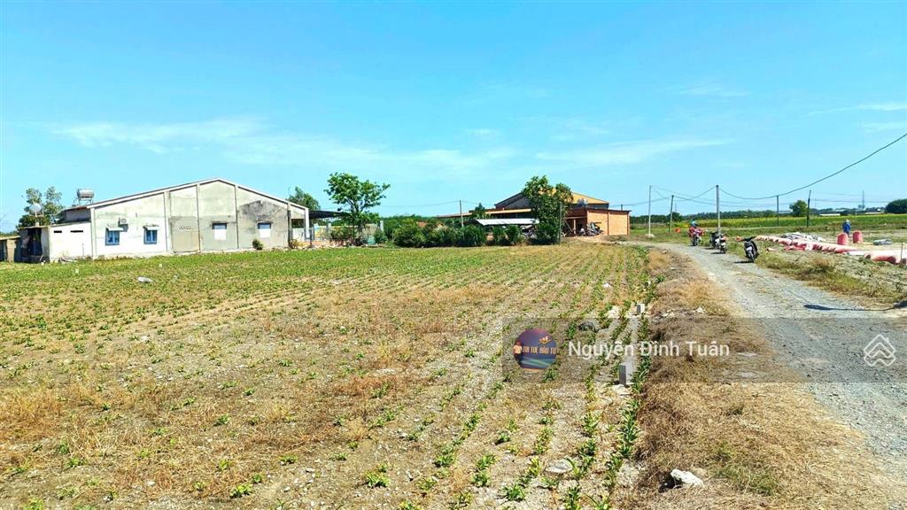 Tầm 290 triệu, lô giá mềm nhưng diện tích nhỏ hoặc chưa full thổ lô này khác ở chỗ đó