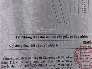 Bán đất vuông vức, vị trí đẹp, sát đường dt 994 tại xã phước hải, có sẵn 1000 m2 thổ cư