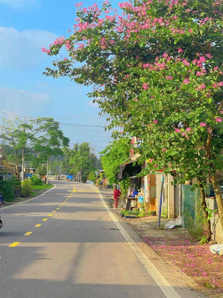 Chủ gửi bán nhanh lô đất cạnh chợ lạc thành  chỉ 8xxtr  sát trường học, bệnh viện