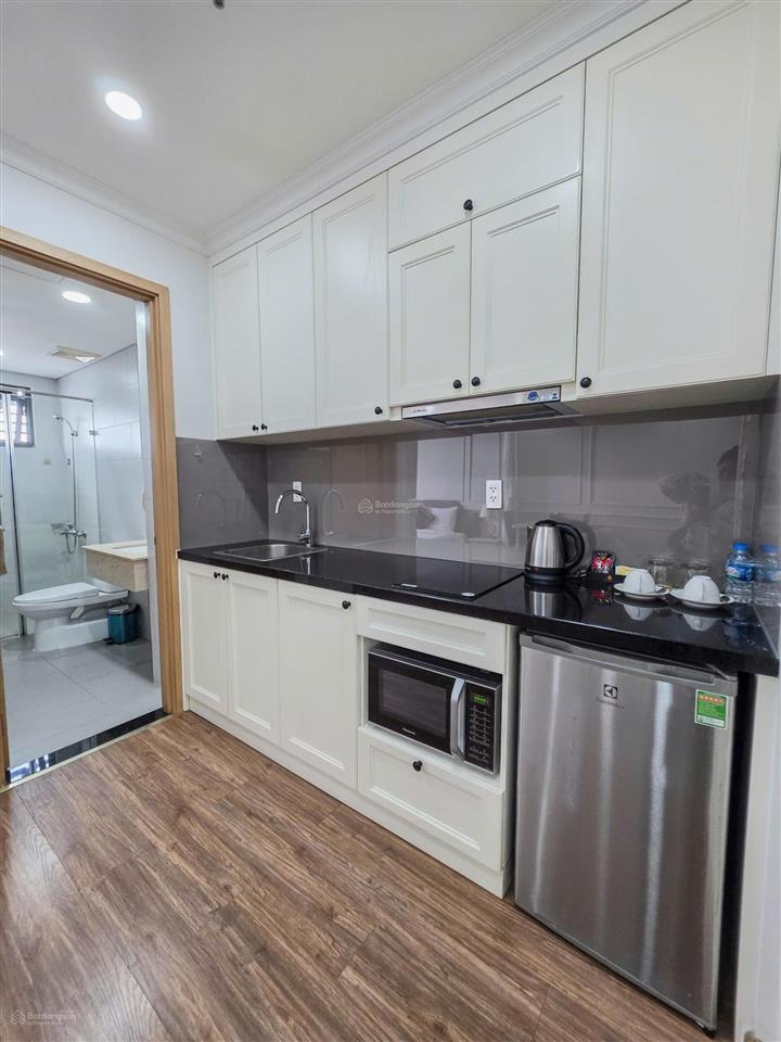 Cho thuê căn hộ 1pn, 50m2, the prince residence, 15 triệu tại nguyễn văn trỗi, phú nhuận