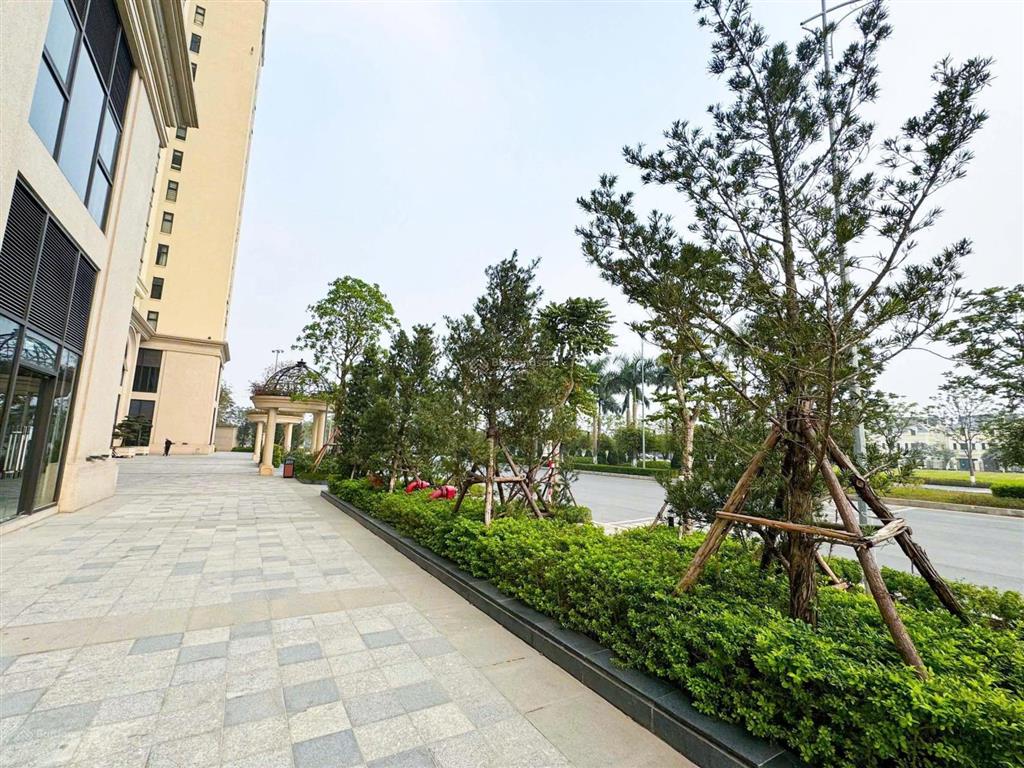 Cho thuê mặt bằng shophouse khối đế  miễn phí 6 tháng đầu  giảm 50% 6 tháng tiếp theo