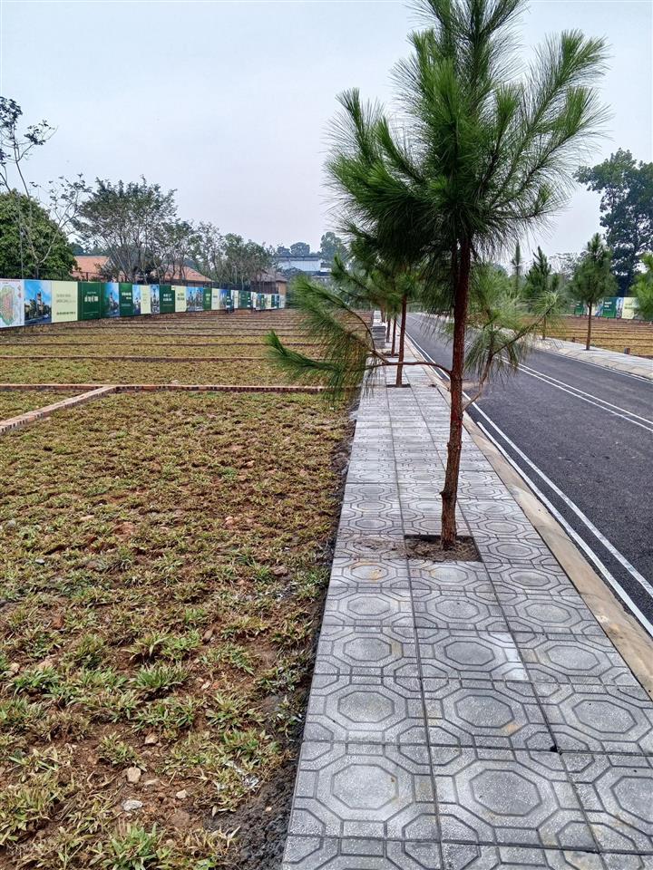 Chỉ hơn 20tr/m sở hữu ngay đất view hồ tuyệt đẹp tại hòa lạc