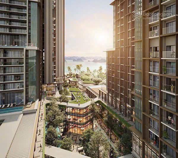 Bán căn góc tầng cao hướng đông nam view trực diện vịnh kỳ quan  quỹ căn hiếm tại aria