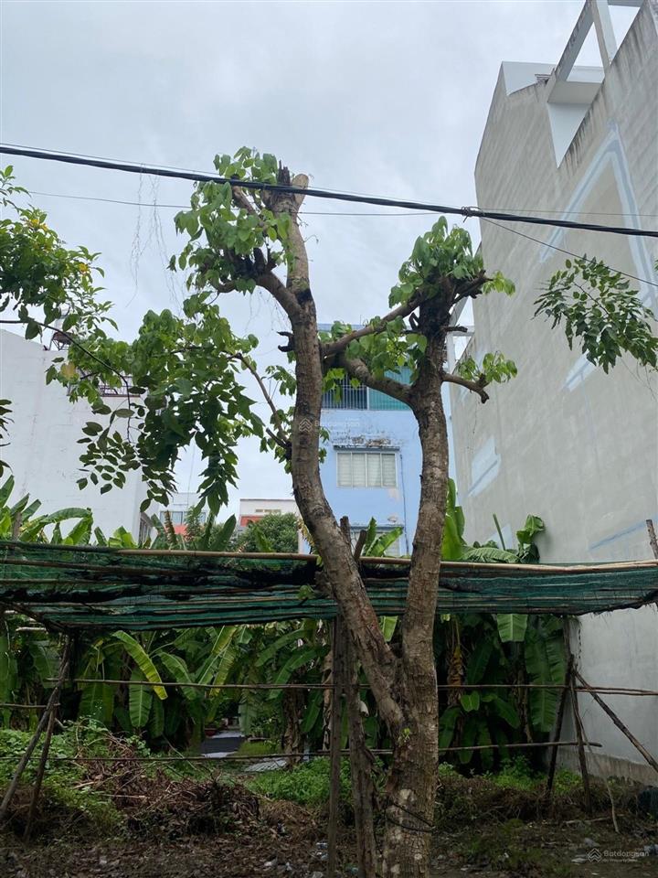 Đất nền cần bán khu dân cư phân lô cao tầng đẹp