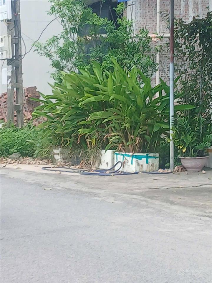 Bán nhà mặt phố ở đường 21b, trực hưng, 1,5 tỷ, 96m2 chỉ với giá siêu hời!