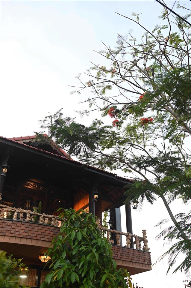15,5 tỷ sở hữu biệt thự hồ bơi view sông hoà xuân  đà nẵng. mức giá đáng xem nhất hiện nay