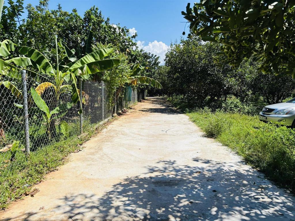 864m full thổ cư diên lâm ngang 40m chia 8 lô chỉ 3,6 tỷ