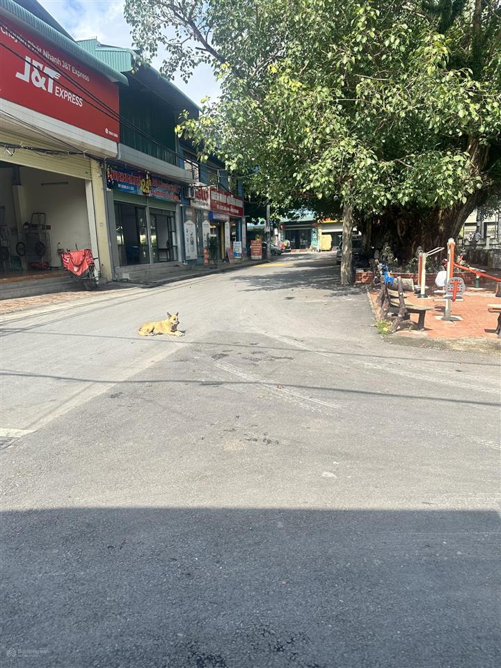 Bán đất tại xã phụng thượng, phúc thọ, hà nội