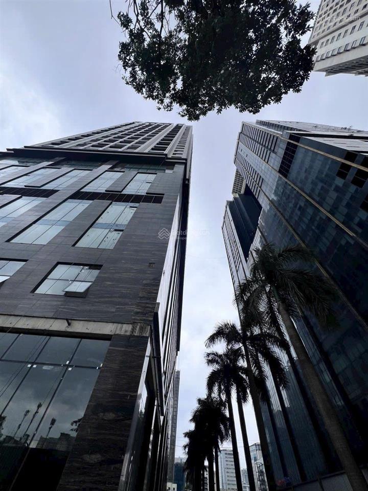 Bán căn góc 114m2 dự án capital elite 18 phạm hùng hướng đông nam  giá 16 tỷ bao phí