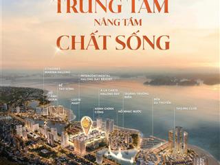 Nhà phố sora bay hạ long.khu phố đêm hạ long( cỗ máy tạo dòng tiền cho nhà đầu tư)