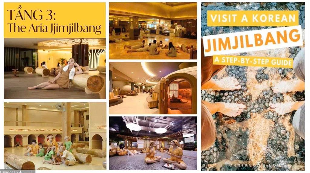 Căn hộ sát biển aria bay, thiết kế cao cấp cùng nhịp sống nghỉ dưỡng
