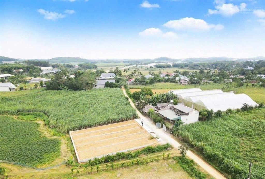 Chỉ hơn 400tr ,130m2 fful thổ ,gần sbay thọ xuân , gần khu cn lam sơn sao vàng 0816 894 ***