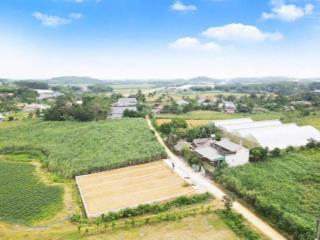 Chỉ hơn 400tr ,130m2 fful thổ ,gần sbay thọ xuân , gần khu cn lam sơn sao vàng 0816 894 ***