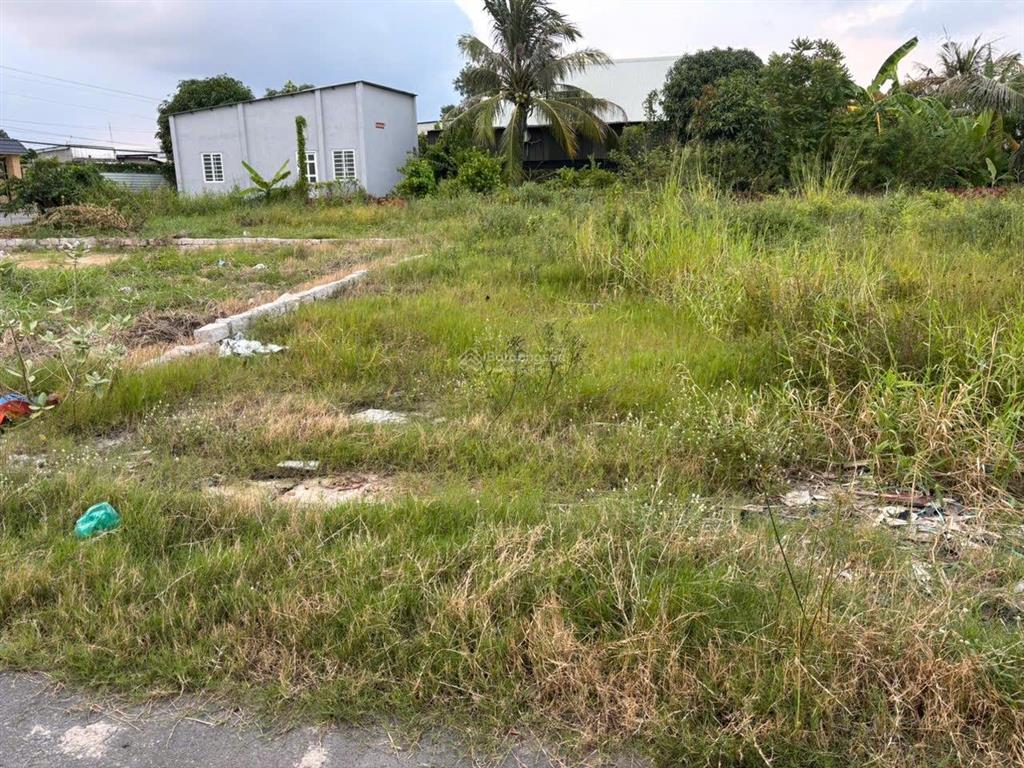 Bán đất tại xã tân hải, phú mỹ, bà rịa vũng tàu, 1,3 tỷ, 116,7 m2, giá ưu đãi hot!