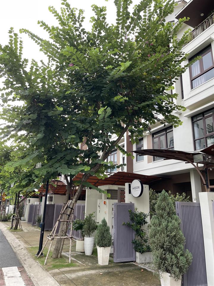 Cck10% căn góc duy nhất tại dự án biệt thự liền kề haruka midori park, tp.mới hcm(114m ~361m sxd)