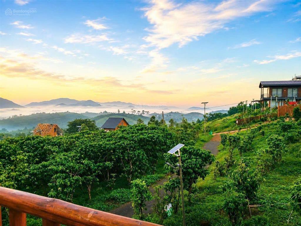 Bán 1.000m² đất nhà vườn sổ riêng tại lộc thành, bảo lộc  không gian riêng tư giữa thiên nhiên
