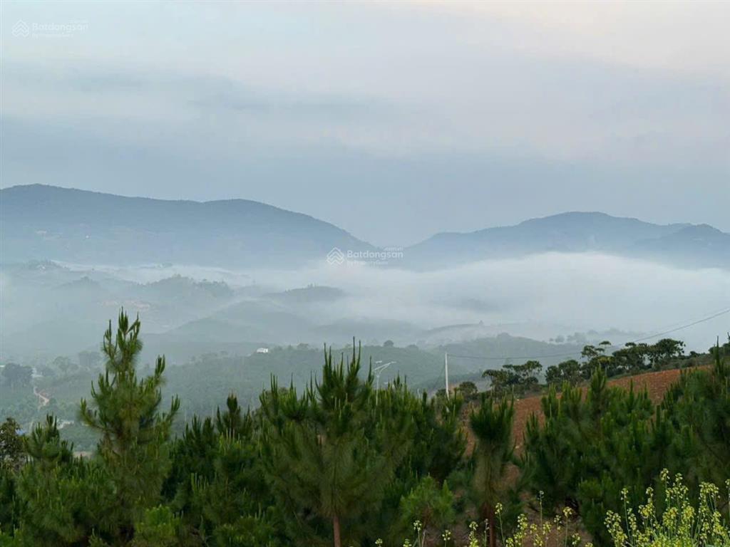 Bán 1.000m² đất nhà vườn sổ riêng tại lộc thành, bảo lộc  không gian riêng tư giữa thiên nhiên