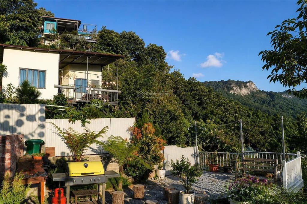 Bán 1.000m² đất nhà vườn sổ riêng tại lộc thành, bảo lộc  không gian riêng tư giữa thiên nhiên