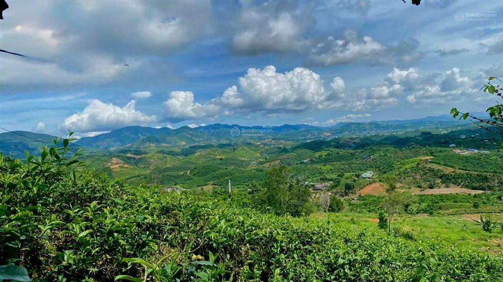 Bán đất tại quốc lộ 55, lộc thành, bảo lâm giá chỉ 2,05 triệu / m2, 1000 m2 view săn mây đồi trà