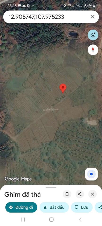 Bán gấp đất trồng cây tại xã m'roh, huyện cư m'gar, đắk lắk, 210 triệu, 600m2