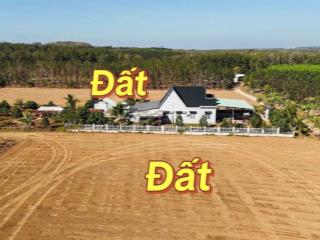 Hơn 1000m2 đất đồng phú chỉ hơn 300tr