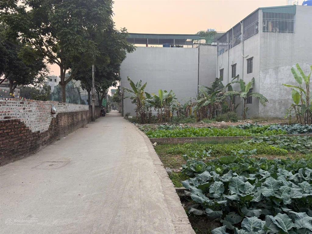 Bán lô đất 56m² phượng đồng  cách đường liên huyện 150m  giá 57 triệu/m²