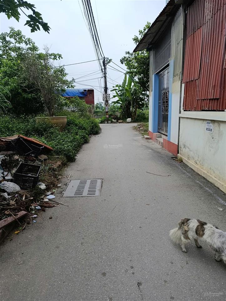 Chính chủ gửi bán lô đất giang chính