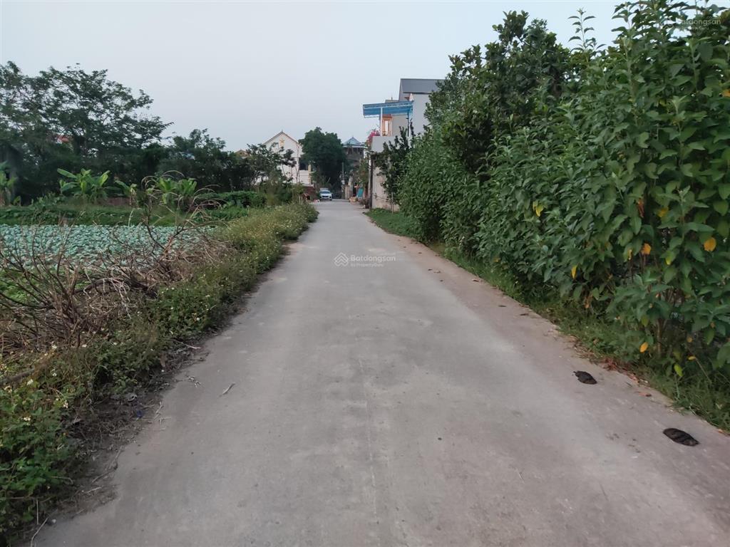 Cần tiền trả nợ ngân hàng, cắt lỗ sâu 603m2 đất vườn từ 1,3 tỷ đồng còn 939 triệu đồng