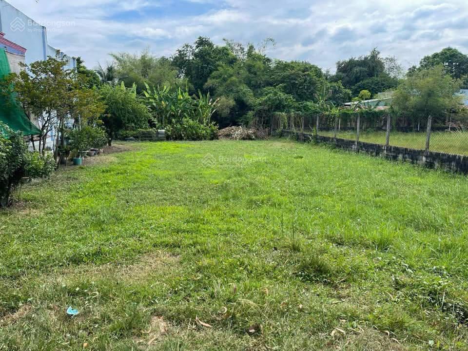 Chủ ngộp cần ra nhanh lô đất vườn 12,8 x 41 = 515m2 ngay chợ phước thạnh giá 680 triệu