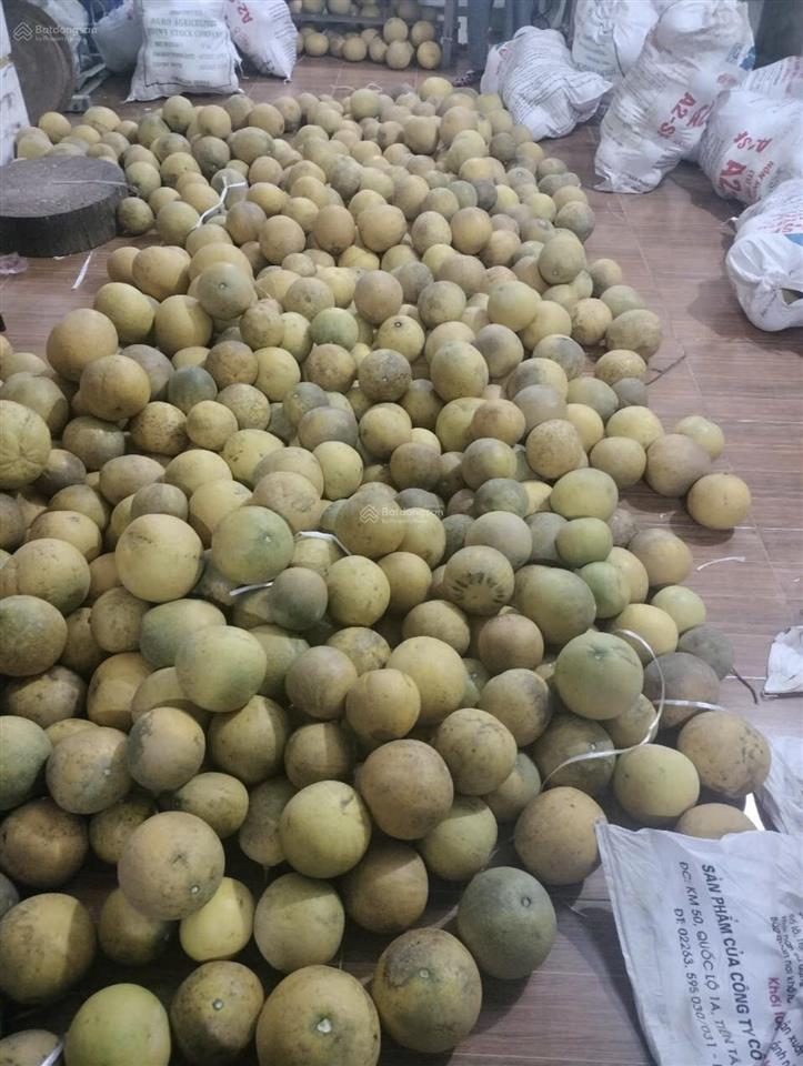 +bán mảnh đất vườn bưởi , phố phúc diễn , bắc từ liêm