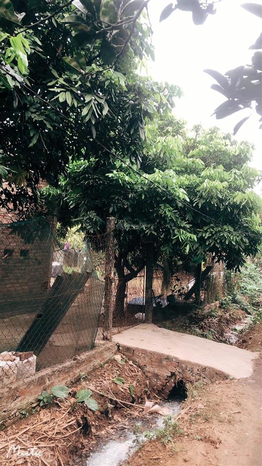 +bán mảnh đất vườn bưởi , phố phúc diễn , bắc từ liêm