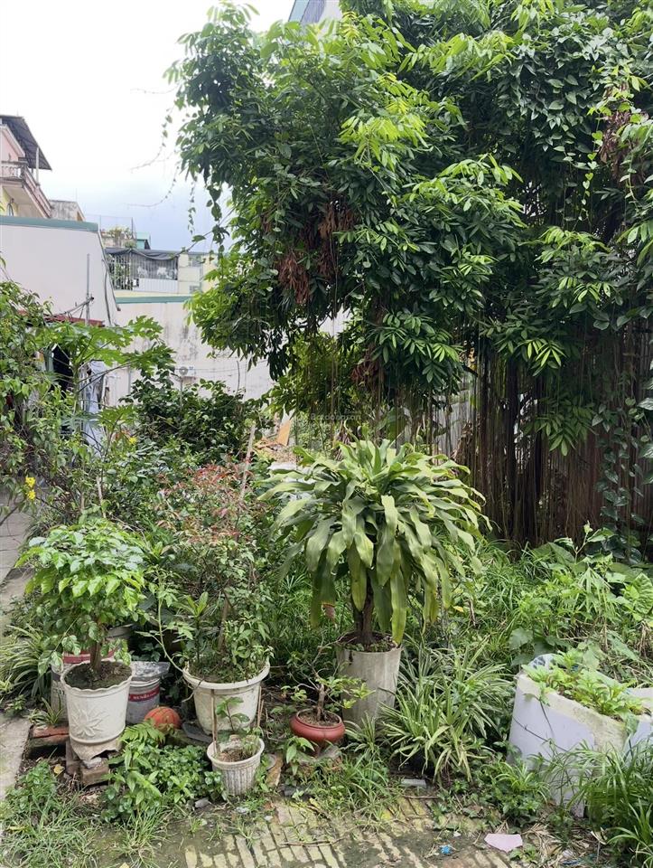 Bán đất đẹp phố đông thiên mặt tiền khủng 13,3mgần mặt phố lĩnh nam và tam trinh đều đang mở rộ