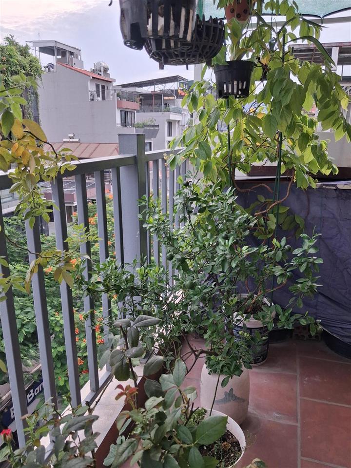 Bán tòa nhà mặt phố võ văn dũng  view hồ hoàng cầu  9 tầng thang máy  kinh doanh đỉnh