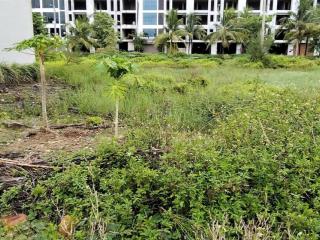 Bán đất trục đường thanh niên cải dịch, sầm sơn, giá chỉ 2x tr/m2. bạn có tin không?