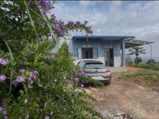 BÁN ĐẤT HƠN 1.000m² – TẶNG NHÀ VƯỜN MỚI XÂY TẠI ĐAN PHƯỢNG ,LÂM HÀ, LÂM ĐỒNG